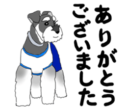 SHOE THE SCHNAUZER sticker #13300189