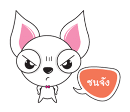 Cute Dog Kaolao sticker #13300262