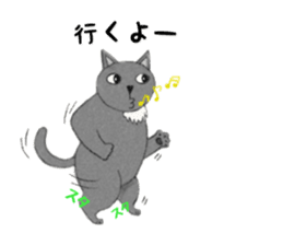 Everyday gray cat sticker #13300991