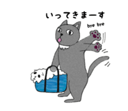 Everyday gray cat sticker #13300993