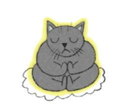 Everyday gray cat sticker #13301018