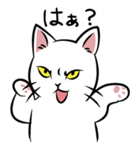 The cat has a heinous face sticker #13301361