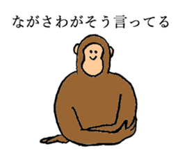 Monkey's name is Nagasawa sticker #13301611