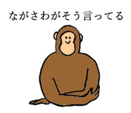 Monkey's name is Nagasawa sticker #13301611