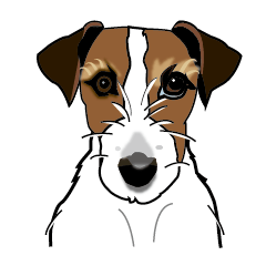 Day to day Jack Russell Terrier