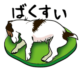 Day to day Jack Russell Terrier sticker #13303130