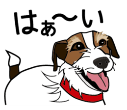 Day to day Jack Russell Terrier sticker #13303134