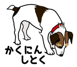 Day to day Jack Russell Terrier sticker #13303144