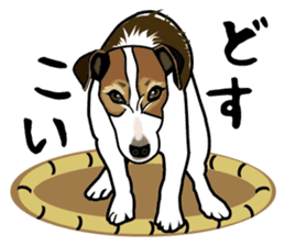 Day to day Jack Russell Terrier sticker #13303153