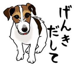 Day to day Jack Russell Terrier sticker #13303154
