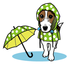 Day to day Jack Russell Terrier sticker #13303162