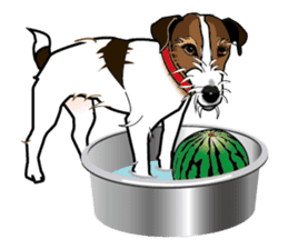 Day to day Jack Russell Terrier sticker #13303163