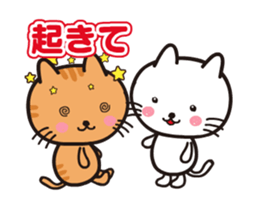 Everyday of white cat Chiro move sticker #13304166