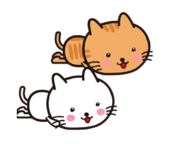 Everyday of white cat Chiro move sticker #13304187