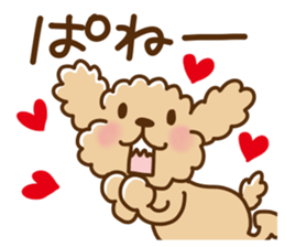 Putaro the Poodle 8 sticker #13304537