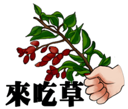 emergengy doctor sticker #13306520