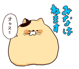 mina`s name sticker #13308168