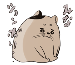 mina`s name sticker #13308174