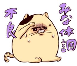 mina`s name sticker #13308175