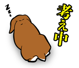 Holland lop Sticker. sticker #13308687