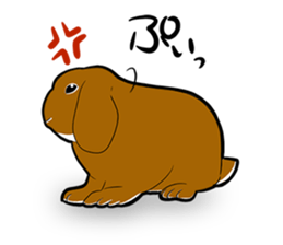 Holland lop Sticker. sticker #13308689