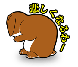 Holland lop Sticker. sticker #13308694