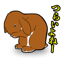 Holland lop Sticker. sticker #13308695