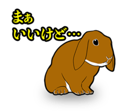 Holland lop Sticker. sticker #13308699