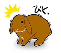 Holland lop Sticker. sticker #13308701
