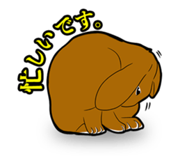 Holland lop Sticker. sticker #13308703