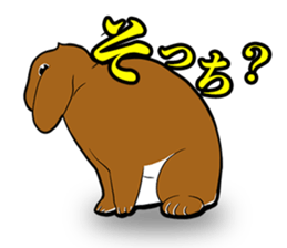 Holland lop Sticker. sticker #13308708