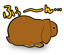 Holland lop Sticker. sticker #13308711