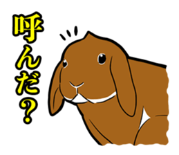 Holland lop Sticker. sticker #13308713