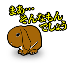 Holland lop Sticker. sticker #13308714