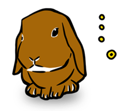 Holland lop Sticker. sticker #13308716