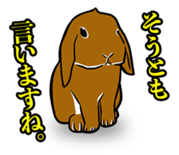 Holland lop Sticker. sticker #13308719
