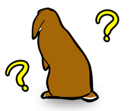 Holland lop Sticker. sticker #13308720