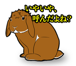 Holland lop Sticker. sticker #13308724