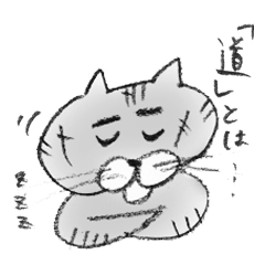A Kiji Tora Cat