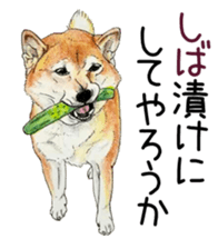 Favorite parts of SHIBAINU9 sticker #13310486