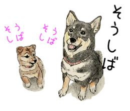 Favorite parts of SHIBAINU9 sticker #13310487