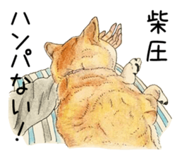 Favorite parts of SHIBAINU9 sticker #13310488