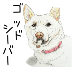 Favorite parts of SHIBAINU9 sticker #13310489