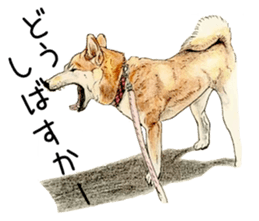 Favorite parts of SHIBAINU9 sticker #13310491