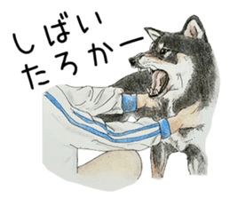 Favorite parts of SHIBAINU9 sticker #13310492