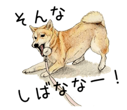 Favorite parts of SHIBAINU9 sticker #13310493
