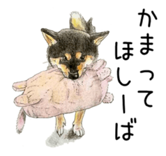 Favorite parts of SHIBAINU9 sticker #13310494
