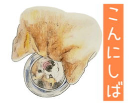 Favorite parts of SHIBAINU9 sticker #13310498