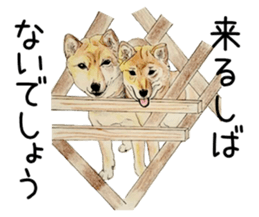 Favorite parts of SHIBAINU9 sticker #13310503