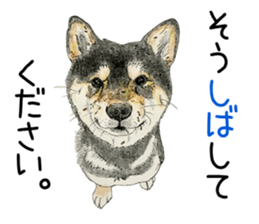 Favorite parts of SHIBAINU9 sticker #13310504